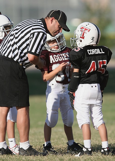 的主要得分 的主要得分