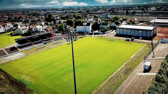 体散布的虚 体散布的虚